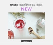 블렌딩티, 별다방에서만 먹지 않아요~ 웰푸드 NEW - 이벤트 :: 천삼백케이