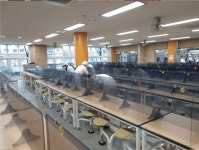 [㈜알에스이알] | #노원구 #노일중학교 급식실 운반(세척) 도우미 채용 [주부/초보가능] - 알바몬