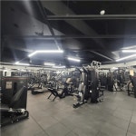 [올림포스짐] | 부산 서구 올림포스짐 프리랜서 트레이너 모집 공고 - 알바몬