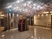 [긱스타pc] | 앤유pc 화정점 주말야간보조 근무자 모집합니다 - 알바몬