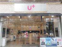 [LGU+ 유성온천역점] | LGU+ 인싸모집 월 500만이상 수익을 올릴수있는 전문 판매직 급구 | 알바몬