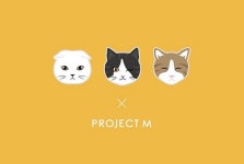 프로젝트엠이 유기묘 돕기 위해 고양이 삼형제 순살탱과 콜라보해 출시한 신상 티셔츠