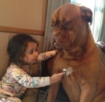 병원놀이 좋아하는 꼬마 집사 동심 지켜주려고 환자 역할해주는 천사 강아지