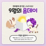 온기를 나눠주세요!…요무, 반려동물을 위한 9월의 욤데이 기부 캠페인 진행