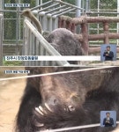 제자리서 빙빙 돌고 허공에 부리 쪼아…자폐증 앓고 있는 진주 진양호 동물원 동물들