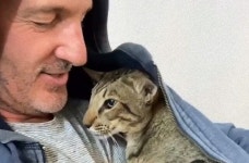 아빠 품안에 쏘옥 들어가더니 아늑하고 너무 좋아 스르륵 눈 감는 개냥이 고양이