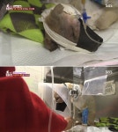 돌연 사라지더니 7시간만에 안구 적출에 안면부 골절상 당한 채 발견된 동물농장 짜장이