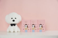 GS25 편의점에서 살 수 있다는 1만원짜리 귀여운 핑크 반려동물 다이어리 반다
