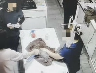 마취 덜 깬 강아지 얼굴에 페브리즈 뿌리며 깔깔깔 웃은 광주 유명 동물병원 논란