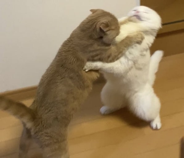 일상선물 이미지