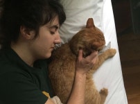 사람들 관심에 항상 하악질만 하던 길고양이가 따뜻한 손길 받자 개냥이 됐다