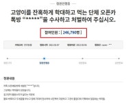 경찰 수사 착수한 고양이 학대 n번방 오픈 채팅방…처벌 촉구 국민청원 24만명 돌파
