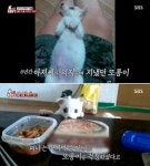 6년간 함께 살던 아저씨와 이별 이후 빈집 홀로 지키며 다른 사람 손길 거부하는 강아지