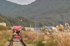 우리집 댕댕이랑 함께 레이바이크 탈 수 있는 춘천 강촌레일파크 '펫 바이크' 나왔다