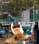 이효리와 한집에서 함께 살게 되자 기분 좋은지 온몸으로 마음껏 애교 부리는 순심이