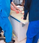 아파서 집사 품에 안겨 동물병원 찾아온 쪼꼬미 햄스터가 엑스레이 사진 찍는 방법