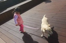 6살 조카가 그린 강아지 그림 본 삼촌이 순간 울컥해서 눈물 쏟아낼 뻔한 진짜 이유