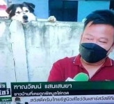 진지하게 인터뷰 중인데 궁금했는지 담벼락서 불쑥 튀어나와 두리번 거리는 댕댕이