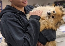 수의대 없는 부산에 최초로 대학 동물병원 생긴다…부산 용당동 동명대 캠퍼스 내 건립
