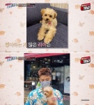 '이상화' 강남이 촬영 간 유기견센터서 고민 끝에 입양했던 유기견 찌개의 놀라운 근황