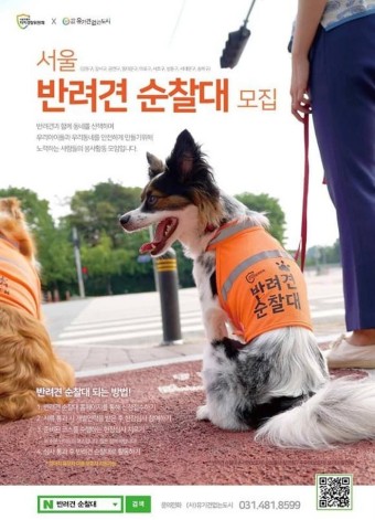 산책하면서 범죄 예방도 하는 서울 반려견 순찰대, 자치구 9곳에서 확대 운영한다