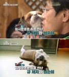 개훌륭 녹화 도중에 반려견 무지개 다리 건넜다는 소식 접한 이경규 재밌게 살다 갔다