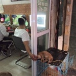 매출 초대박 나서 부러움 자아내는 어느 PC방의 영업 노하우(?)가 드디어 밝혀졌다