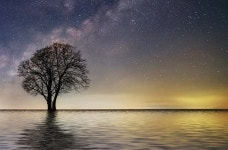 [10월 31일 띠별 운세] 쥐띠는 어려움이 있음을 느끼며 원숭이띠는 불필요한 지출이 많습니다