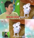 [2022 연말기획] 동물농장 MC 21년만에 안락사 위기 직전 놓은 유기견 입양한 신동엽의 선행