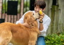 무지개 다리 건넌 반려견들 생각에 결국 눈물 흘린 영화 멍뭉이 유연석 너무 힘드니까…