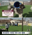 따뜻한 봄날 서울 여의도 한강공원에서 우리집 강아지랑 마음껏 뛰어놀아 보아요