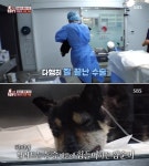 꽉 조여오는 6cm 남짓 짧은 목줄 때문에 얼굴이 선풍기처럼 퉁퉁 부어버린 강아지 깜순이
