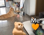 외출 나가기 전 거울 앞에 서서 가방 들고 갈지 말지 포즈 취하는 내 모습 같다는 골댕이