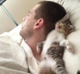 평소 아기 고양이가 이 남자를 정말 많이 사랑하고 있음을 단번에 보여주는 증거
