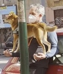 지나가는 사람들마다 차에 기댄 남성 멍때리고 너무 신기하게 쳐다봤던 이유