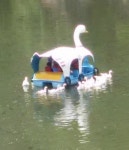 한강에 산책하러 놀러간 아이들이 갑자기 오리배 보고 소리질러 봤다가 멘붕 온 이유