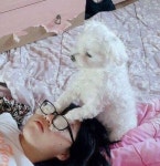 울집 댕댕이에게 유튜브로 고양이 꾹꾹이 가르친 집사가 잠시후 멘붕 온 이유