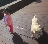 어린 조카가 삐뚤빼뚤 그린 강아지 그림 본 삼촌이 눈물 쏟아낸 이유