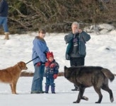 겁도 없이 야생 늑대에게 꼬리 흔들며 다가간 강아지에게 실제로 생긴 일