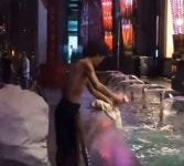 로드킬 당한 유기견 살리고자 열흘 동안 모은 전 재산 병원비에 쓴 노숙자