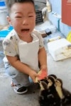 오리한테 나눠준 수박이 점점 줄어들자 뒤늦게 아까워서 울음터뜨린 꼬마