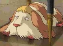 하울의 움직이는 성 강아지 힌의 실사판이라고 난리난 댕댕이