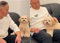 강아지 절대 안 키워 완고한 반대하던 아버지가 딸 집에 간 지 2분 만에 벌어진 일