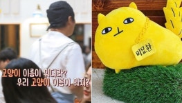 '강식당2' 멤버들도 고양이라고 착각하고 있는 '미묘한'의 충격적인 반전 정체
