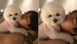 저도 좀 안아주세요…박서준이 꼬옥 안아줘 팬들 부러움 자아내는 세젤귀 댕댕이