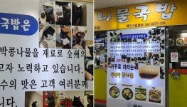 집에서 키우는 고양이 너무 자랑하고 싶었던 여의도 어느 콩나물 국밥집 사장님