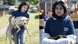 구조 동물 안락사 혐의 논란 박소연 재판 출석하지 않자 법원이 호통치며 한 말