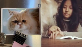 미미야, 안녕.. 사랑해♥ 반려묘 미미 직찍 대신 사진 속 모습 찍어 공개한 이효리
