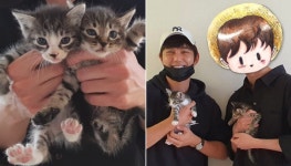 수의대생 유튜버 갑수목장, 고양이 입양한 유승호에게 갑질 연예인 덤탱이 씌우려고 했다