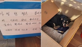 치와와 강아지 우체국 박스에 담아 군산시간여행 안내소 앞에 유기한 견주가 쓴 편지